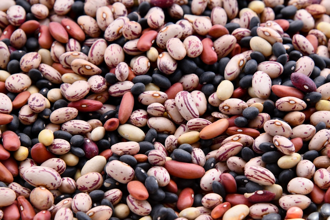 Frijoles (ej. Caupí)