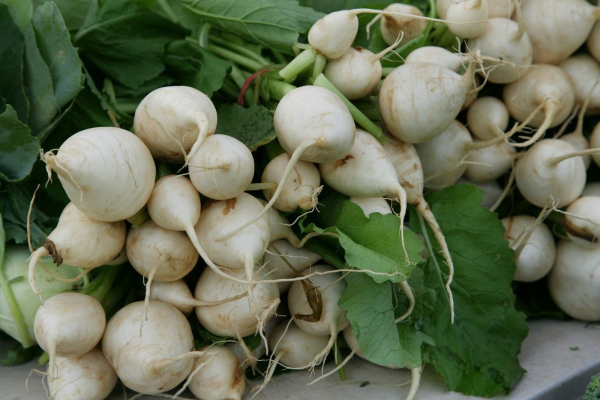 Turnips
