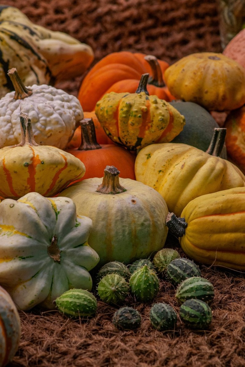 Calabaza